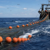 HQ PVC Trawl Float Commercial Fishing Buoy With Custom Logo